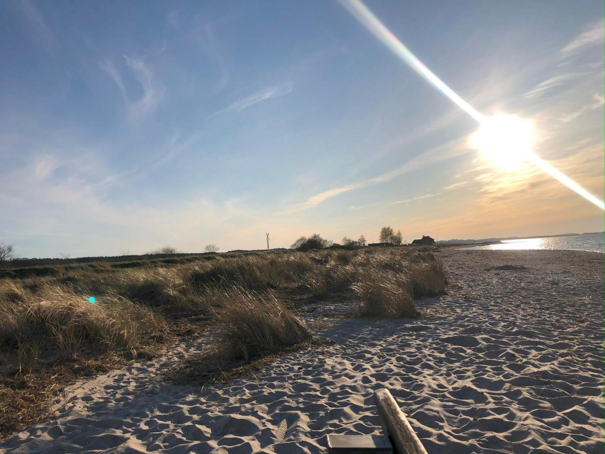 Neue Ferienwohnung An Der Ostsee,Terrasse,Sauna Surendorf エクステリア 写真