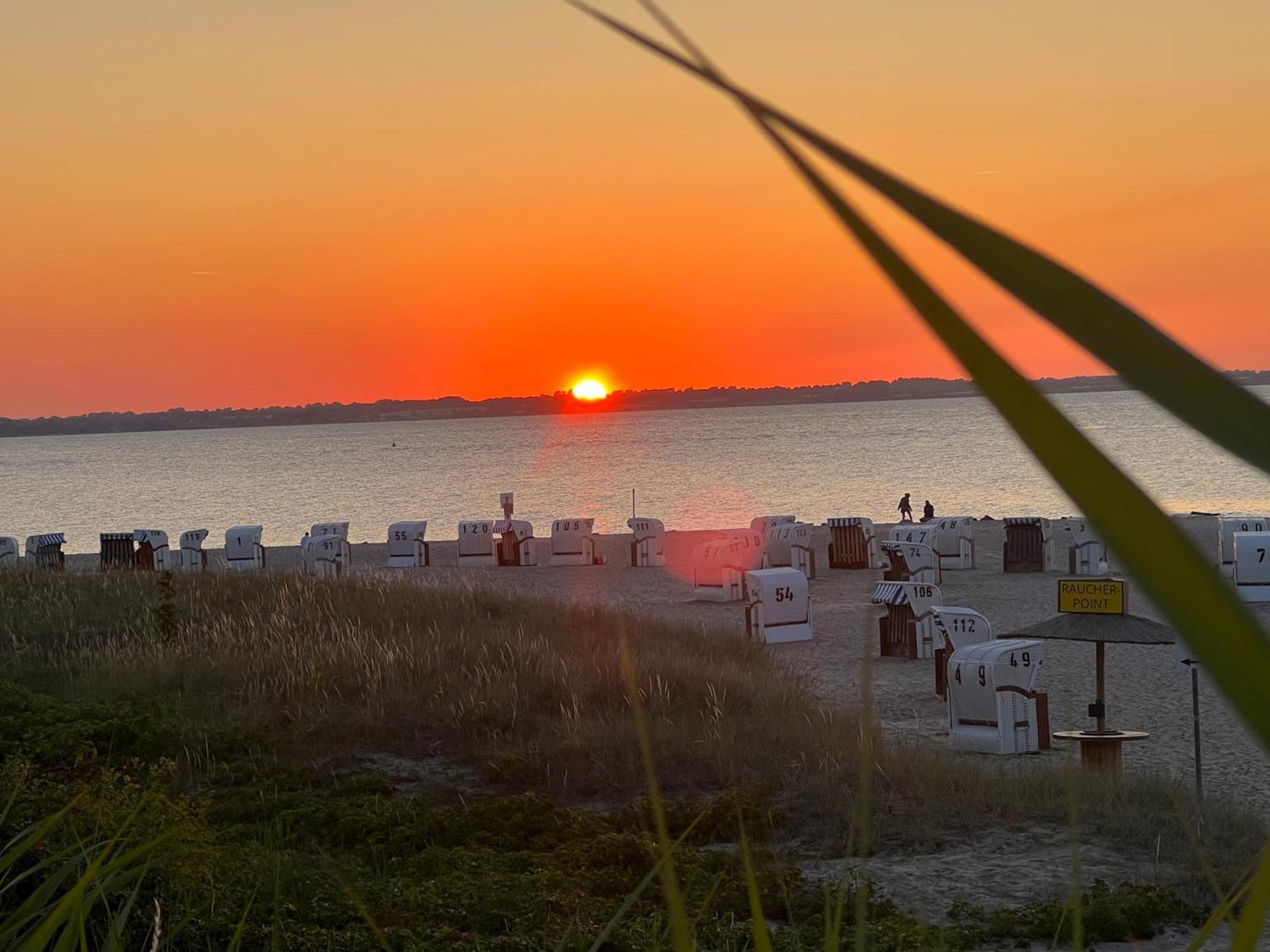 Neue Ferienwohnung An Der Ostsee,Terrasse,Sauna Surendorf エクステリア 写真